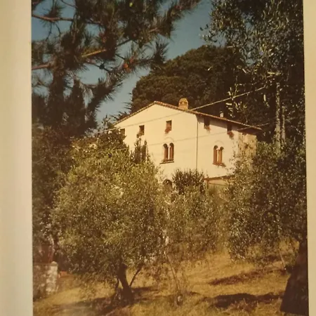 Colonic House Of San Gennaro, Capannori, Lucca Casa vacanze San Gennaro (Lucca)